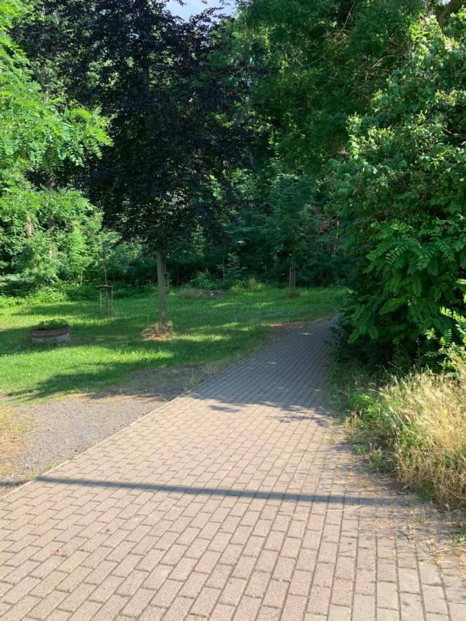Parkhotel Schnorr Lutherstadt Eisleben Eksteriør billede